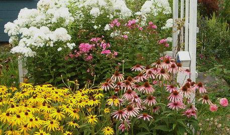 Der Garten im September – was jetzt zu tun ist