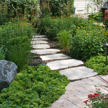 Patio Ideas