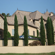 Landscaping 2019