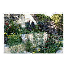 front and side yard ideas