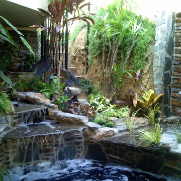 Koi Pond