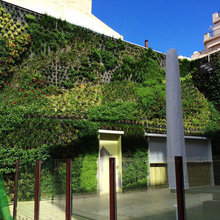 Jardines verticales