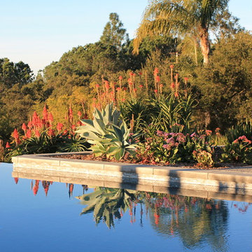 Montecito