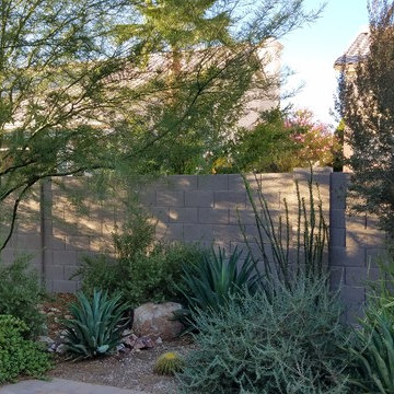 Plantings - 4 years