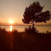 Foto von Carol Hale