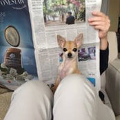 Carla Phares's photo