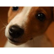 Ozge Razi's photo