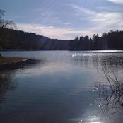 Kari Grant's photo