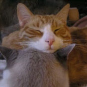 Stella Hinkle's photo
