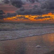 Tammy Bozeman's photo
