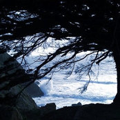 Rachel Page's photo