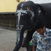 Hari Narasimhans foto