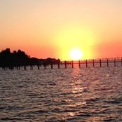 Valerie R. Bailey's photo