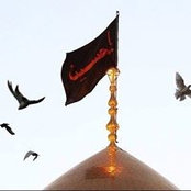 Mohamad Zarwi's photo