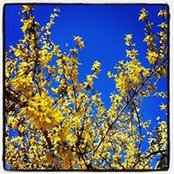 Deborah Woods's photo