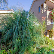 Nairobi Botanica Gardening's photo
