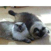 Pam Wojcik's photo