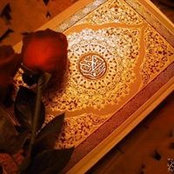 عبير حسينs foto