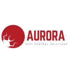 Aurora Pest Control Solutions