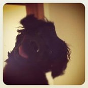 Stefanie Young's photo
