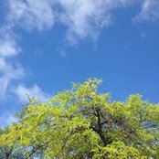 Irma Román's photo