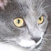 Martha McCormick's photo