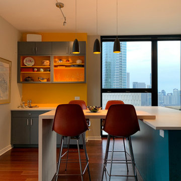 Striking South Loop Penthouse