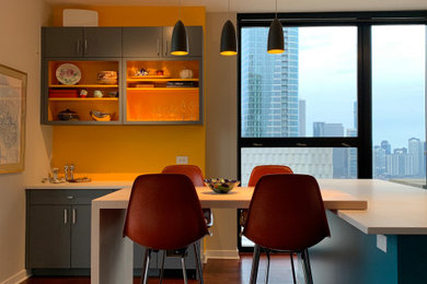 Inspiration for a modern kitchen remodel in Chicago