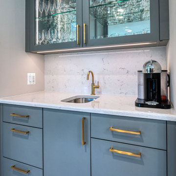 Oakton Transitional Kitchen Remodel