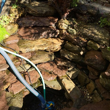 Fall Koi Pond Maintenance & Winter Fish Pond Preparation| Rochester NY By Acorn