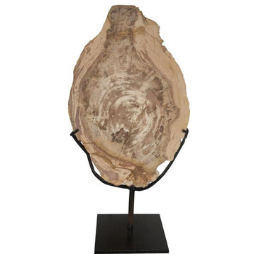 Sculpture Wood Fossil With Stand 12-In Metal