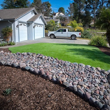 Eco-Friendly Turf Project