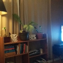 My Apartment 2017