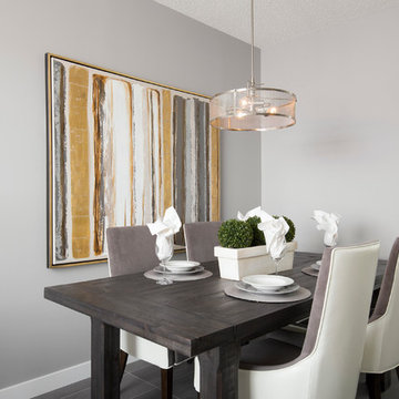 Allee Duplex Showhome in Cornerstone in Northeast, Calgary