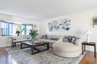 Living room - transitional living room idea in Boston