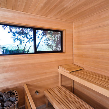 Bay Area, CA Modern Sauna