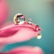 Angi Scott's photo