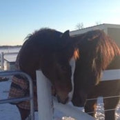 Rose Nikoden's photo