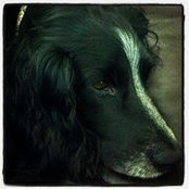 Amy Lidstone's photo