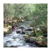 Kirby Davis's photo