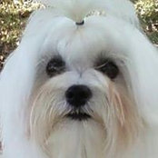 Debby Hicks's photo