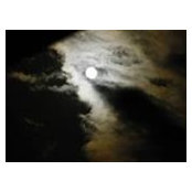 Foto von Dew Drops