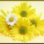 Deepali Karpe's photo