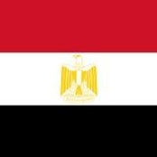 Mohammed Mokhtar Ali's photo