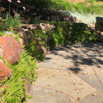 Hillside Backyard Transformation