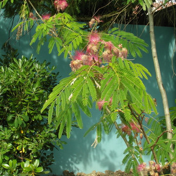 jardin méditerranéen
