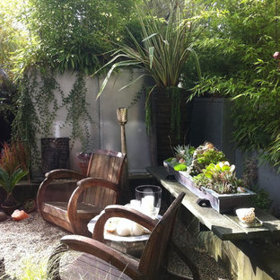 Tropenstil Garten hinter dem Haus mit Kübelpflanzen in Vancouver