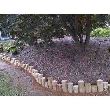 Alberto Alavez Professional Lawn Services LLC 3