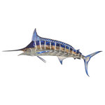 Next Innovations - Wall Art Large Marlin - Metal Wall Art Dolphin is a great looking piece of metal wall art and a fantastic addition to any home decor or lawn and garden decor collection! Like all our products our Metal Wall Art Dolphin is powder coated for maximum rust resistance, making it ideal for use as indoor or outdoor wall decor!
