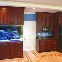 Aquarium Ideas